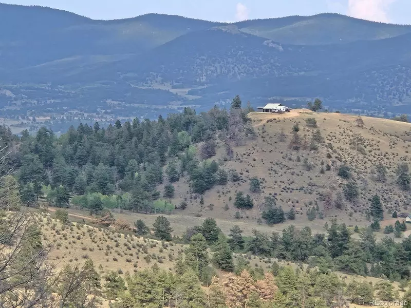 456 Pine LN, Hartsel, CO 80449