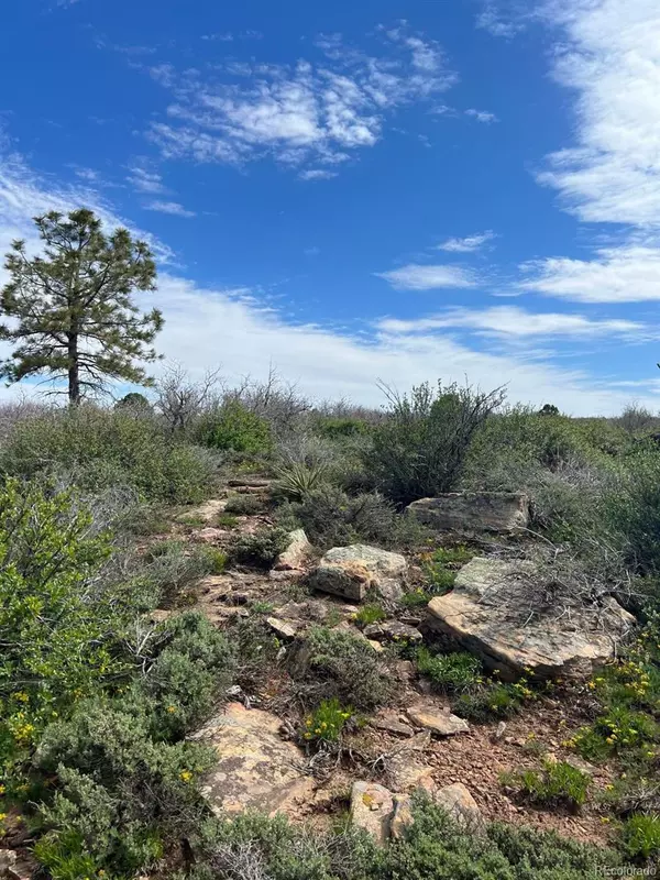 Lot 30 County Road C-3, Dove Creek, CO 81324