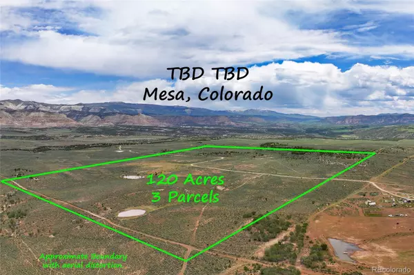 Mesa, CO 81643,TBD 40 Acres
