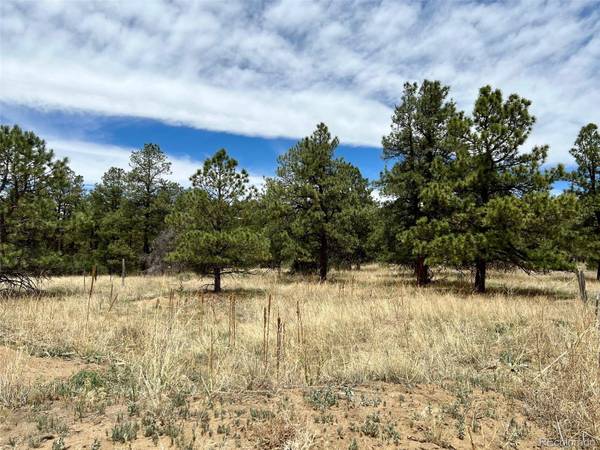 Lot 137 Rancho La Garita, Weston, CO 81091