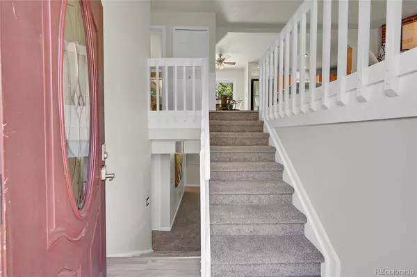 Castle Rock, CO 80104,804 Park View PL