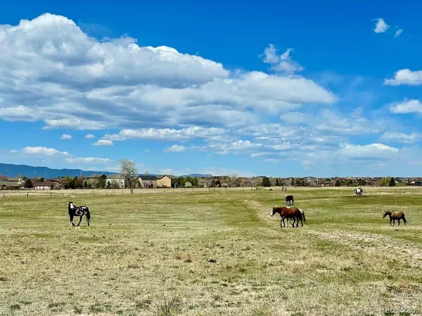 Colorado Springs, CO 80924,8254 Crown LN