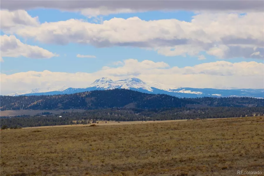 1632 Rocky Mountain RD, Hartsel, CO 80449