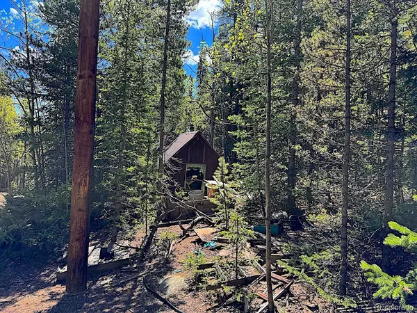 Idaho Springs, CO 80452,3257 Trail Creek RD