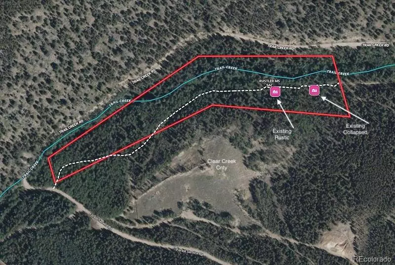 Idaho Springs, CO 80452,3257 Trail Creek RD