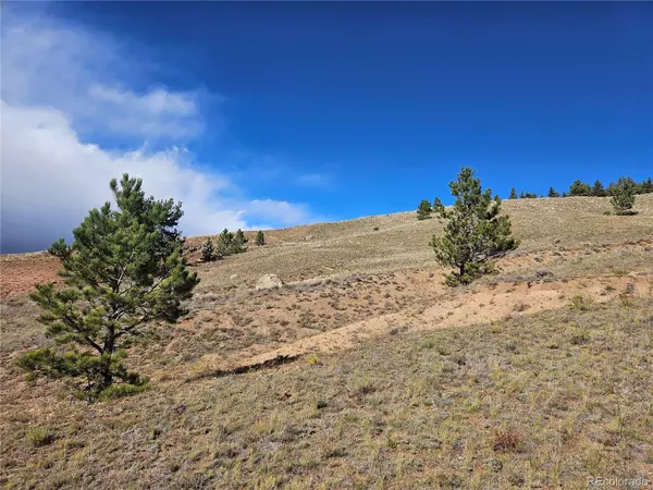 Hartsel, CO 80456,PCS#25252 Fernando TRL