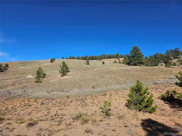 Hartsel, CO 80456,PCS#25252 Fernando TRL