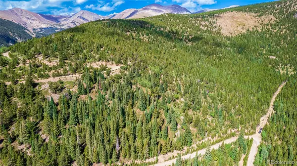 Idaho Springs, CO 80452,508 Hilltop RD