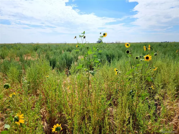 Bennett, CO 80102,N Converse RD