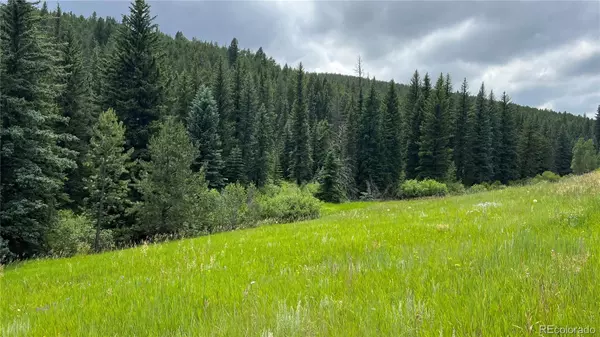 Nederland, CO 80466,1896 County Road 68