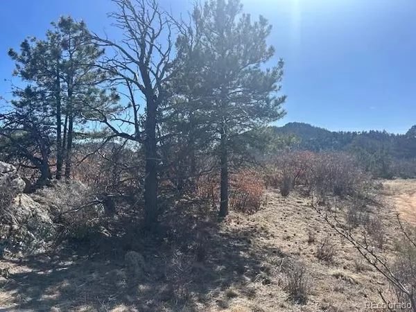 Westcliffe, CO 81252,98 Discovery DR