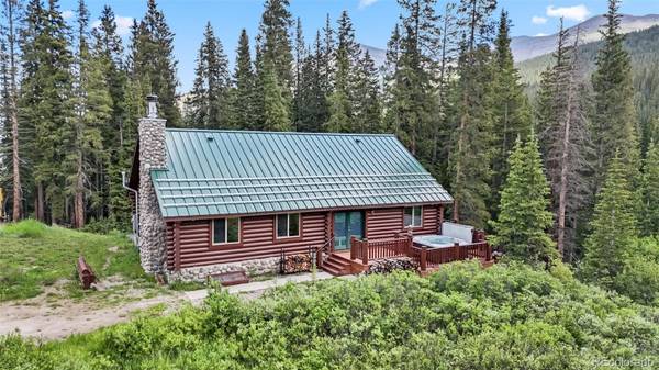 274 CR 672, Breckenridge, CO 80424