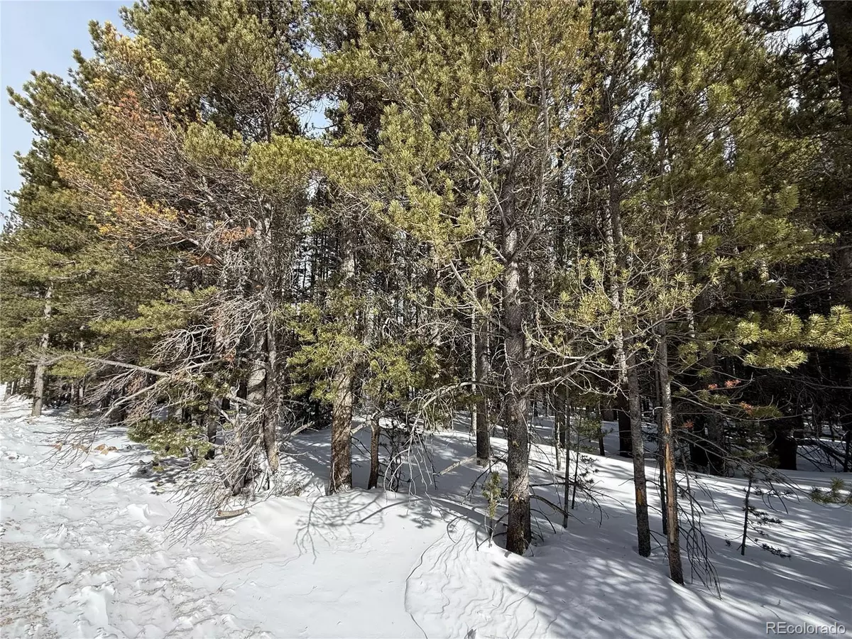 Idaho Springs, CO 80452,Lot 105 Deer RD