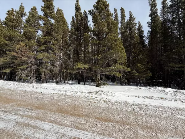 Idaho Springs, CO 80452,Lot 105 Deer RD