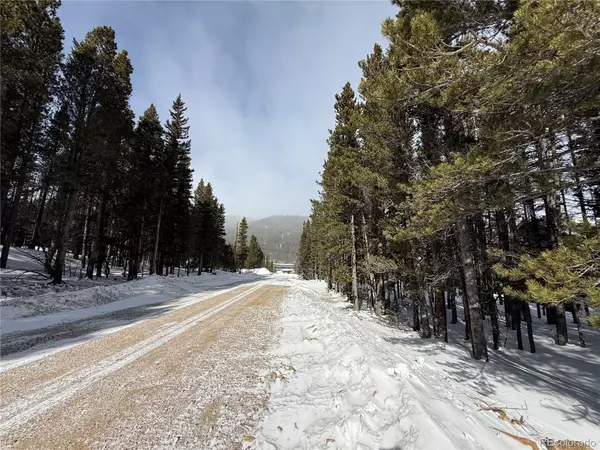 Idaho Springs, CO 80452,Lot 105 Deer RD