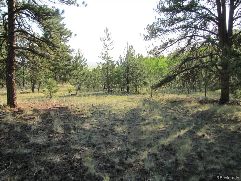 9736 Ranch RD, Hartsel, CO 80449