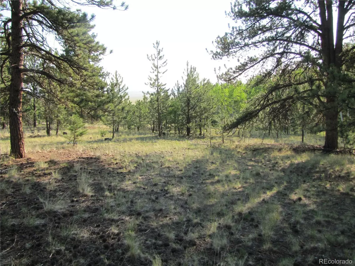 Hartsel, CO 80449,9736 Ranch RD