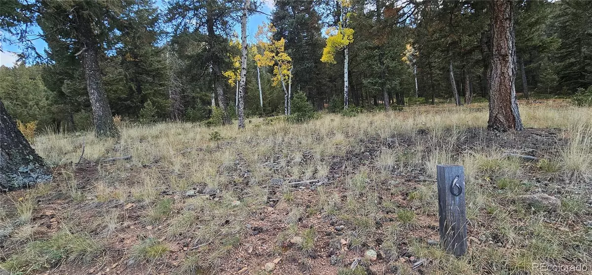 Pine, CO 80470,54 Garnet LN