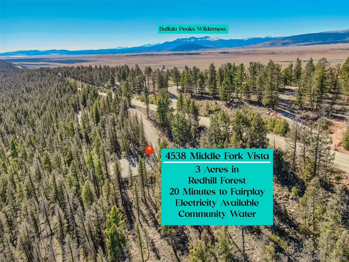 Fairplay, CO 80440,4538 Middle Fork VIS