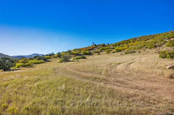 Canon City, CO 81212,92 Bear Trax DR