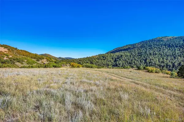 Canon City, CO 81212,92 Bear Trax DR