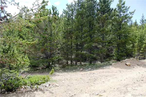 Idaho Springs, CO 80452,Group 2-1 Lamertine RD