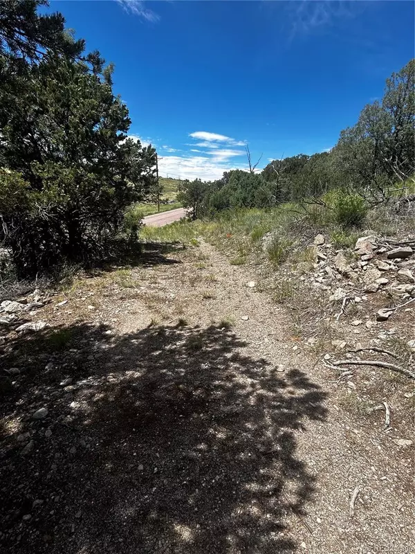Cotopaxi, CO 81223,1880 Copper Gulch RD
