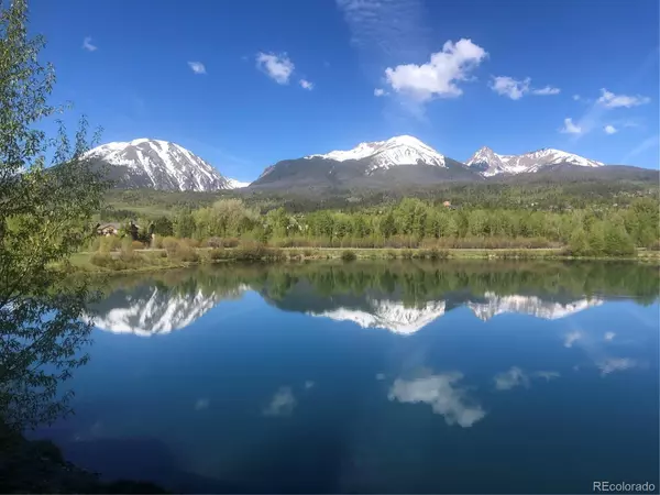 Silverthorne, CO 80498,217 Fly Line DR