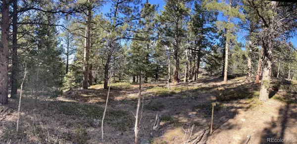 Black Hawk, CO 80422,480 Creekwood TRL