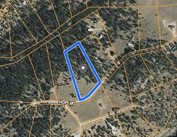 Westcliffe, CO 81252,343 Shawnee TRL