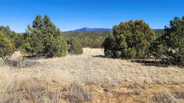 Trinidad, CO 81082,00 Colorado Mtn Lake Estates