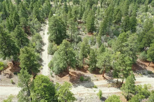 Mosca, CO 81146,Big Bear RD