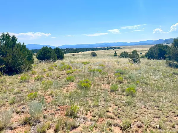 Cotopaxi, CO 81223,000 Corral North