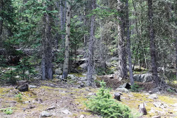 Black Hawk, CO 80422,5340 FS 718.1