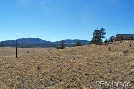 Hartsel, CO 80449,529 Bridle PATH