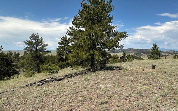 Hartsel, CO 80449,Lot 25 Wolfe RD