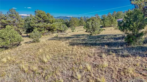 Florissant, CO 80816,1187 Apache RD