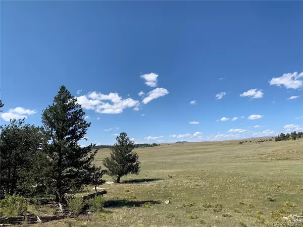 Hartsel, CO 80449,449 Dudley DR
