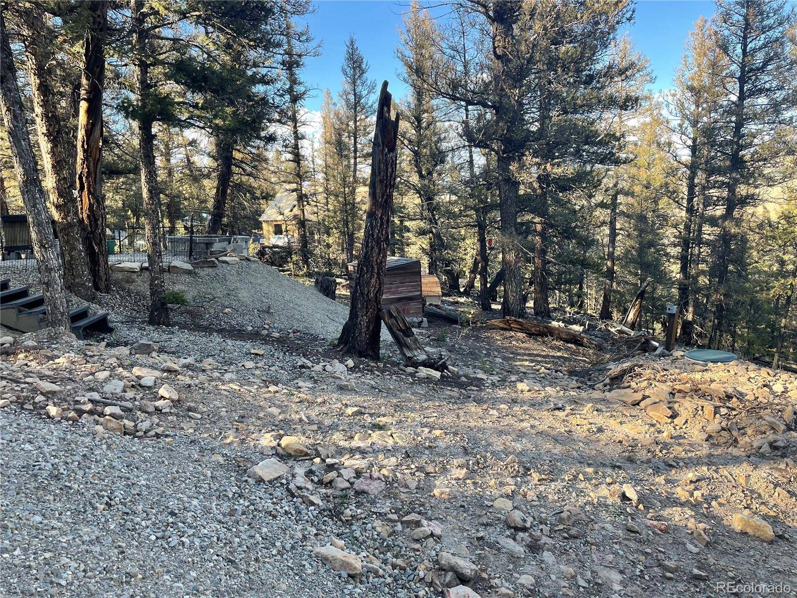 Fairplay, CO 80440,40 Trout Creek LN
