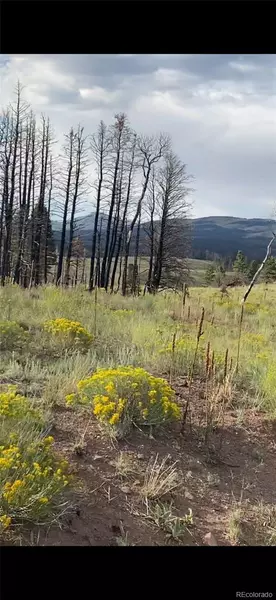 768 Shepard PL, Fort Garland, CO 81133