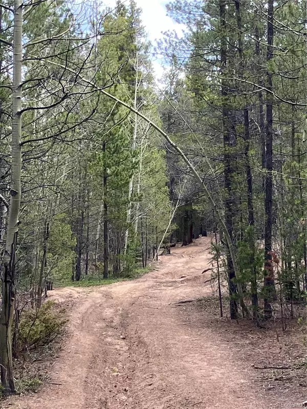 Black Hawk, CO 80422,FS 409.1 (aka Fairburn Mtn) RD