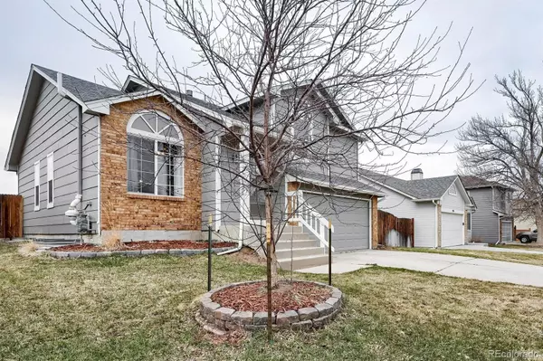 325 N Holcomb ST, Castle Rock, CO 80104