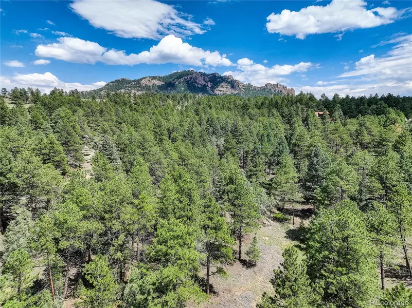 20006 Spring Creek RD, Pine, CO 80470