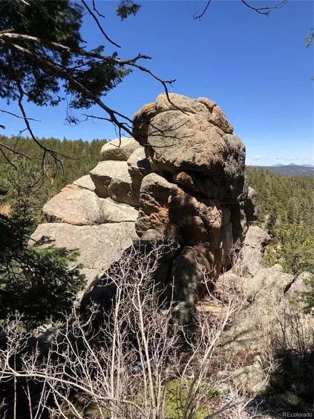 213 Osoeola RD, Woodland Park, CO 80863