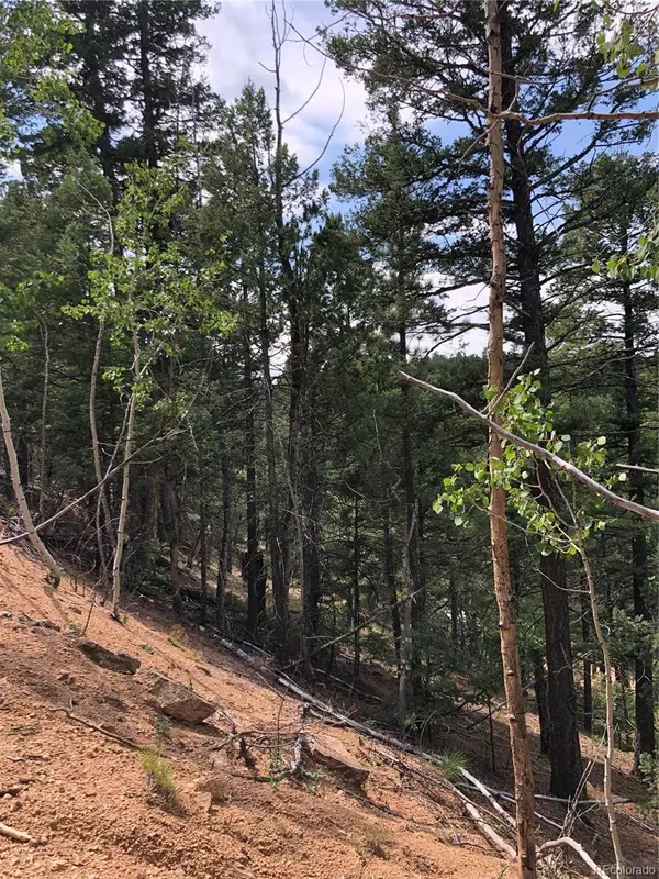 Woodland Park, CO 80863,213 Osoeola RD