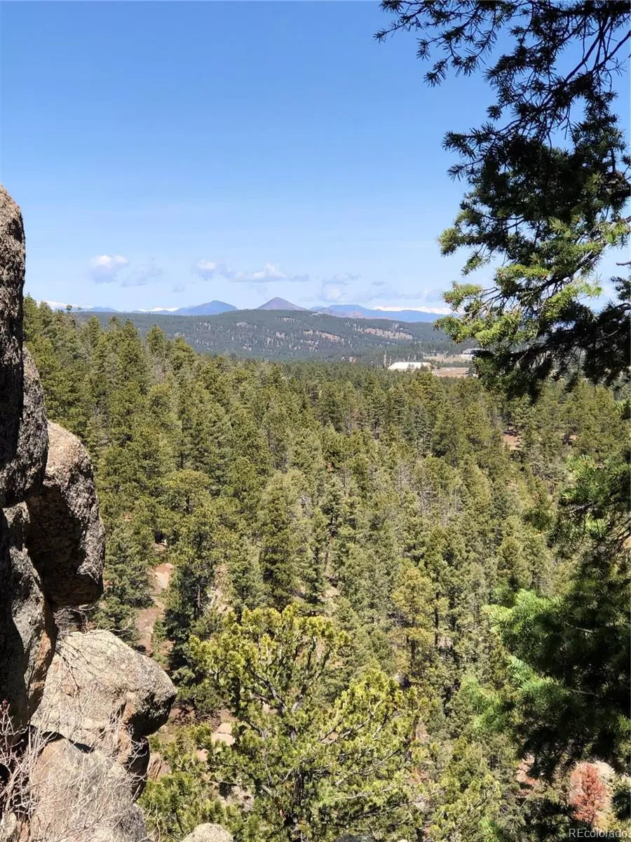 Woodland Park, CO 80863,213 Osoeola RD