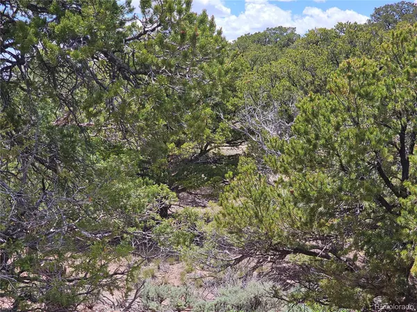 Fort Garland, CO 81133,3953 Kruest RD