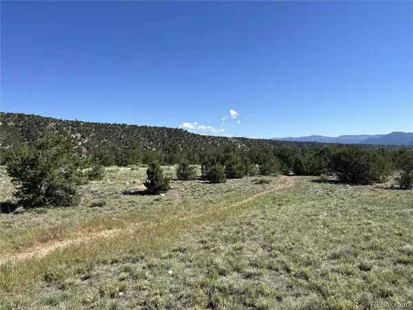 Nathrop, CO 81236,14973 Chalk Creek DR
