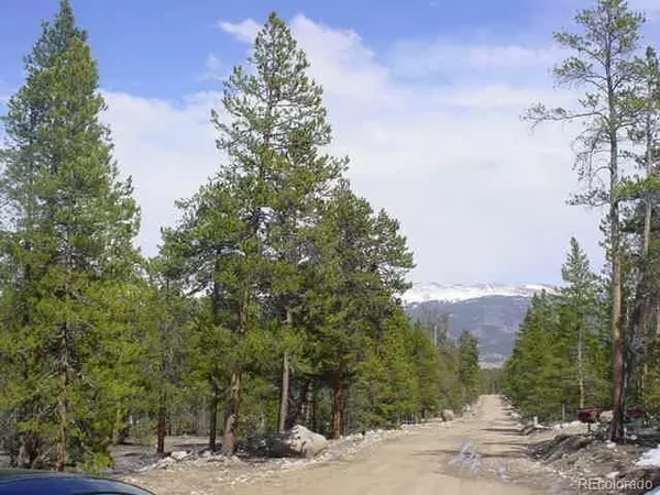 Twin Lakes, CO 81251,833 Peak View DR