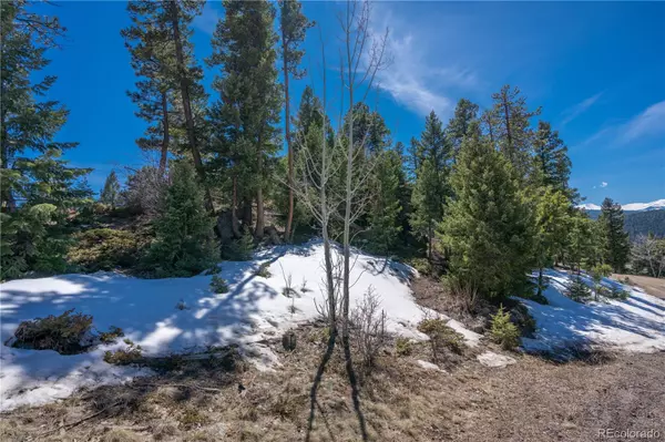 Evergreen, CO 80439,00000 Granite Crag CIR